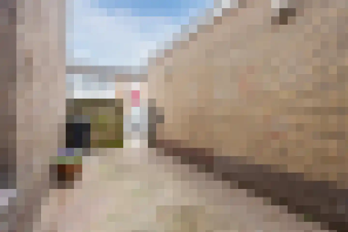 Cereslaan 8 Bussum thumbnail 30
