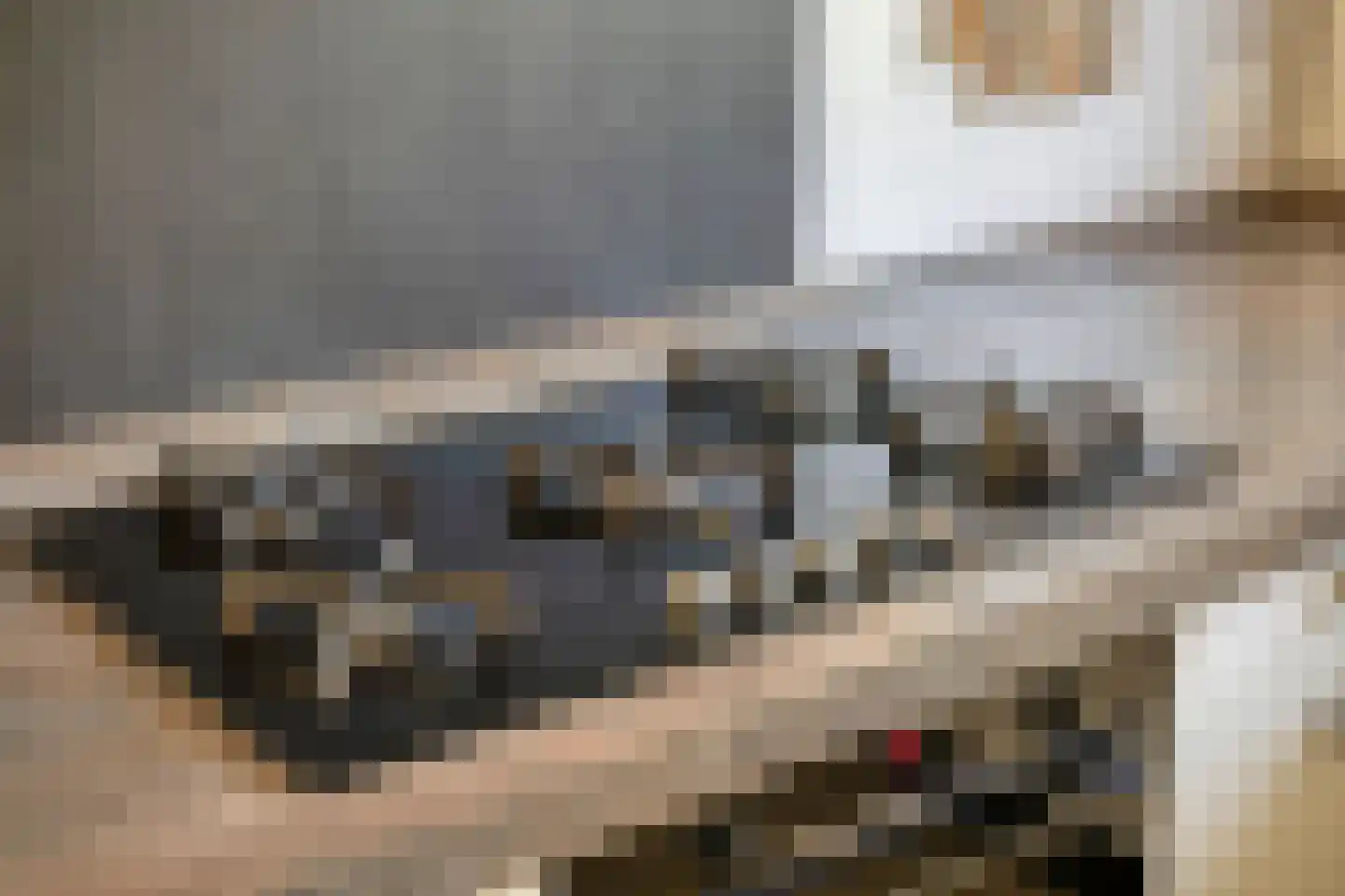 Cerespad 26 Son en Breugel thumbnail 14