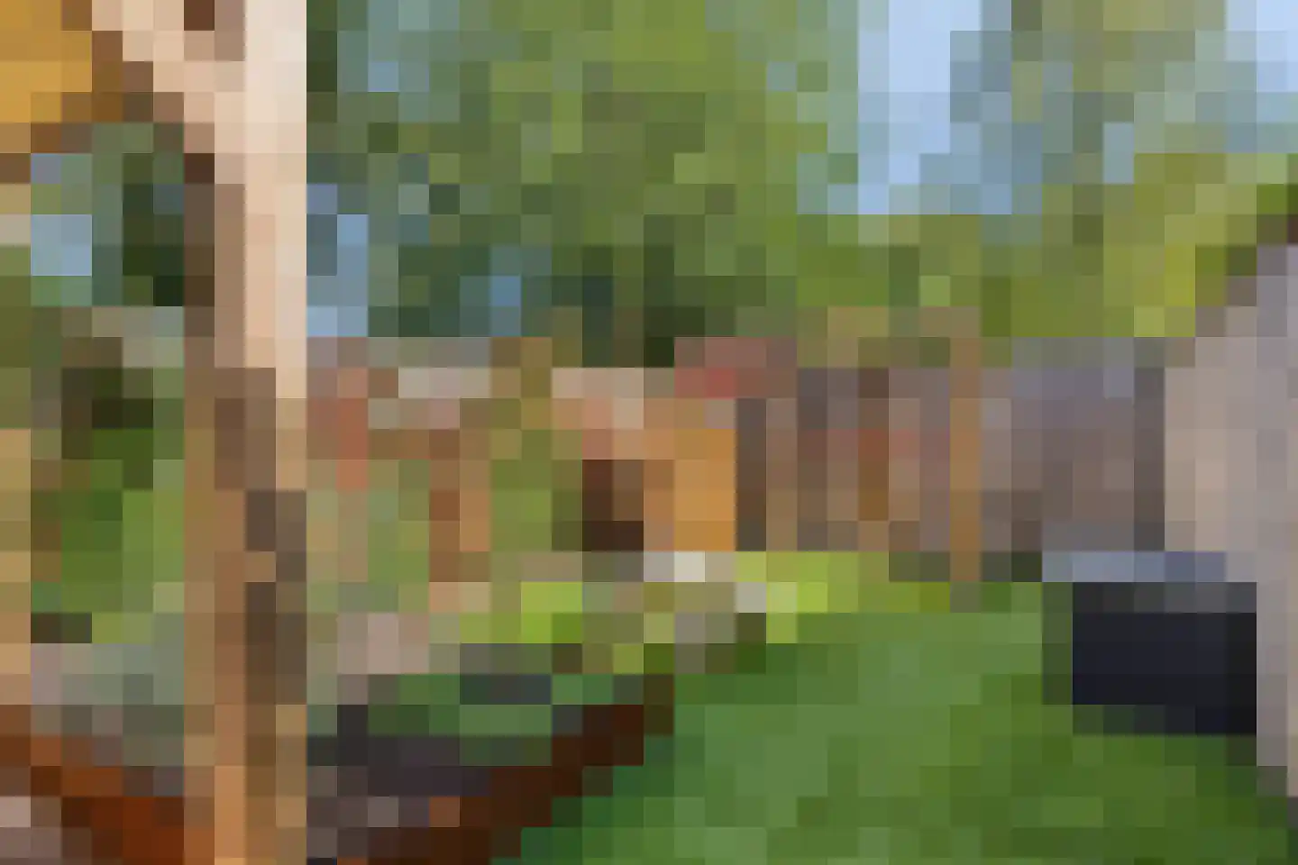 Cerespad 26 Son en Breugel thumbnail 33