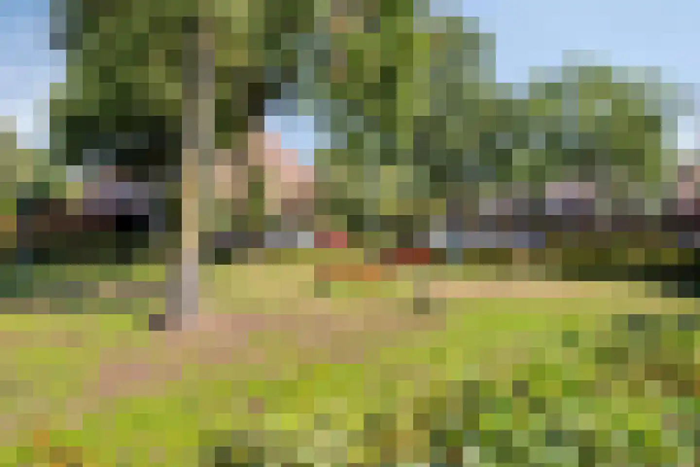 Cerespad 26 Son en Breugel thumbnail 38
