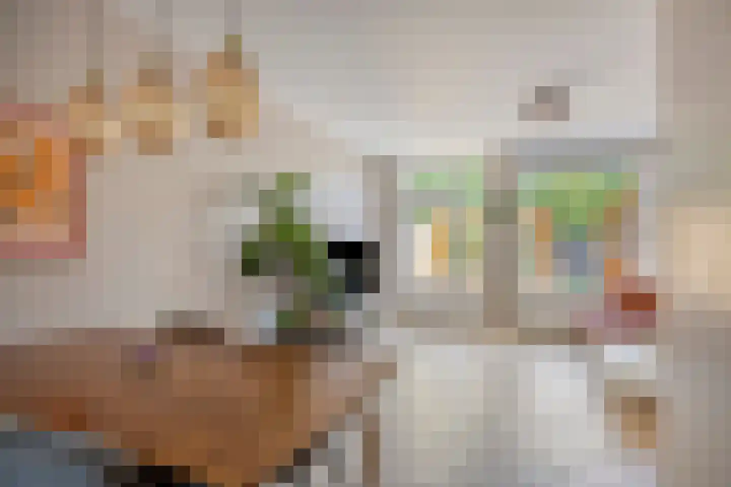 Cerespad 26 Son en Breugel thumbnail 8
