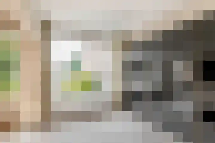 Cerespad 7 Spijkenisse thumbnail 14