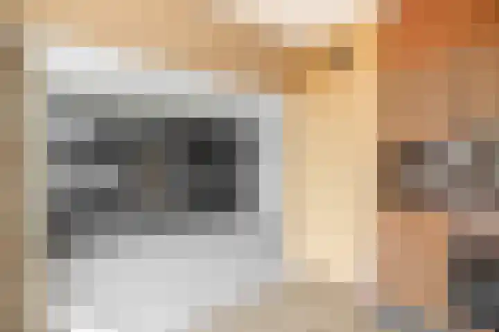 Cerespad 7 Spijkenisse thumbnail 18