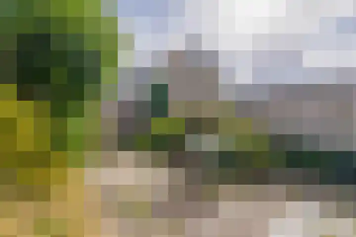 Cerespad 7 Spijkenisse thumbnail 20