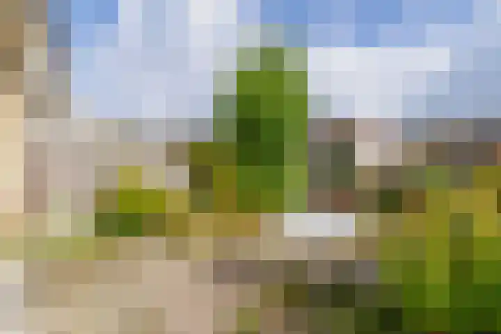 Cerespad 7 Spijkenisse thumbnail 21