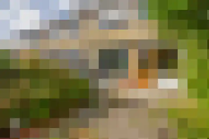 Cerespad 7 Spijkenisse thumbnail 22