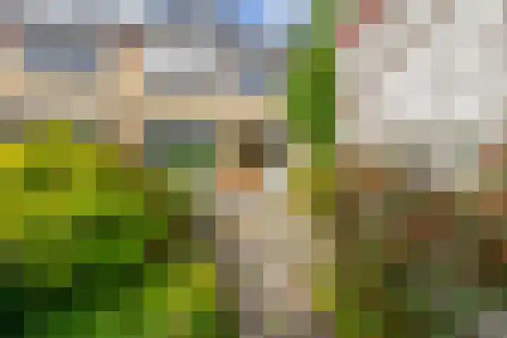 Cerespad 7 Spijkenisse thumbnail 24