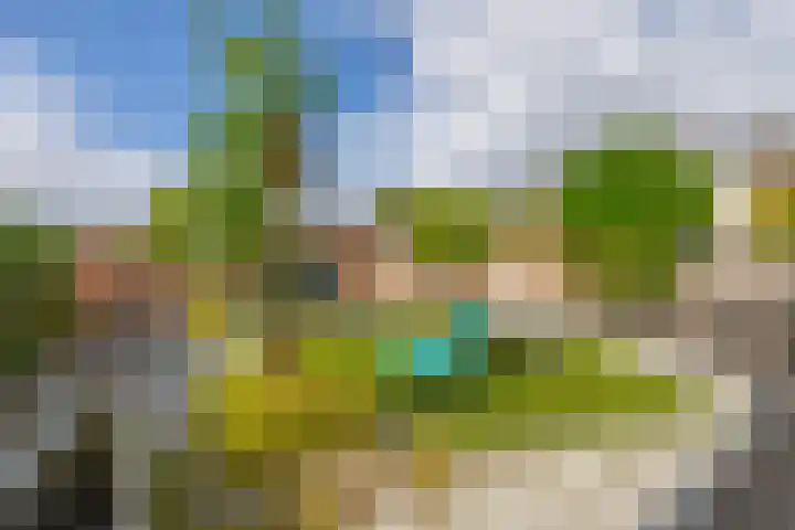 Cerespad 7 Spijkenisse thumbnail 38