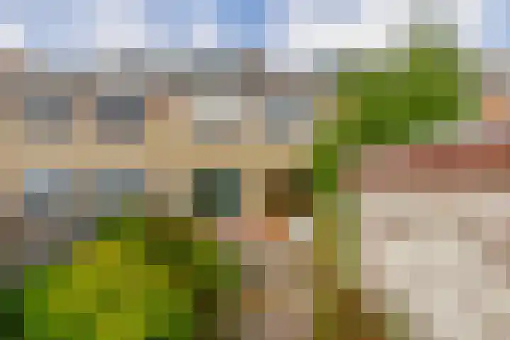 Cerespad 7 Spijkenisse thumbnail 4