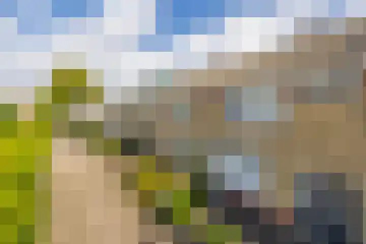 Cerespad 7 Spijkenisse thumbnail 6