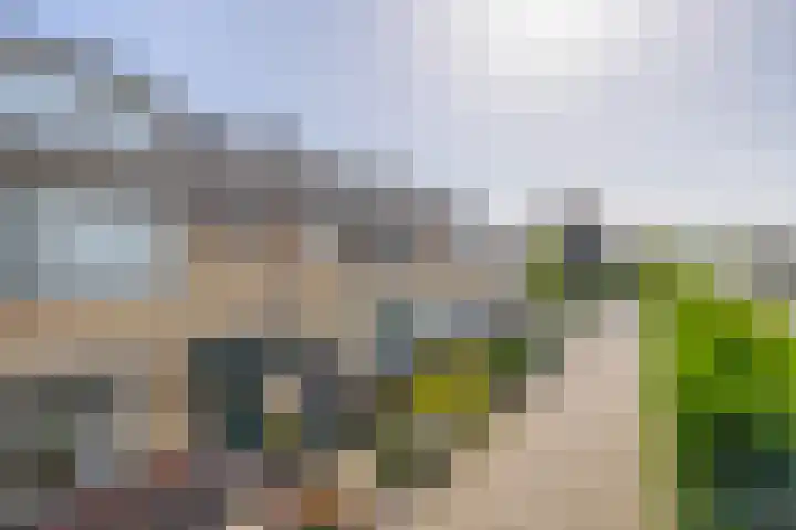 Cerespad 7 Spijkenisse thumbnail 7