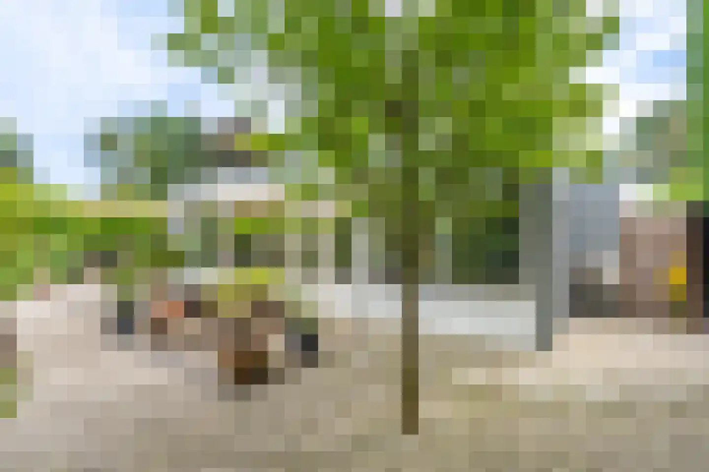 Cerespark 17 Stevensbeek thumbnail 11