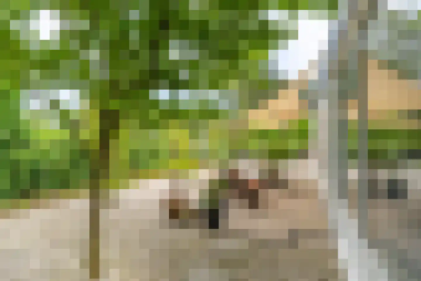 Cerespark 17 Stevensbeek thumbnail 12