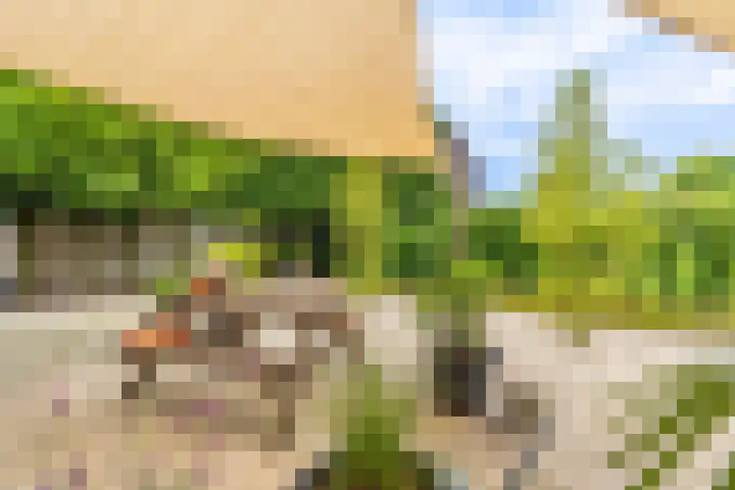 Cerespark 17 Stevensbeek thumbnail 13