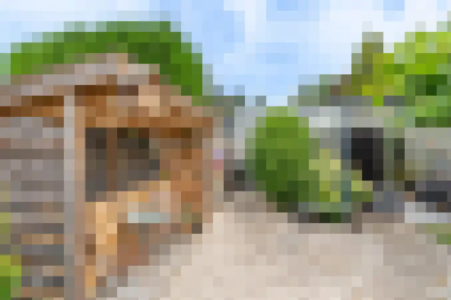 Cerespark 17 Stevensbeek thumbnail 14