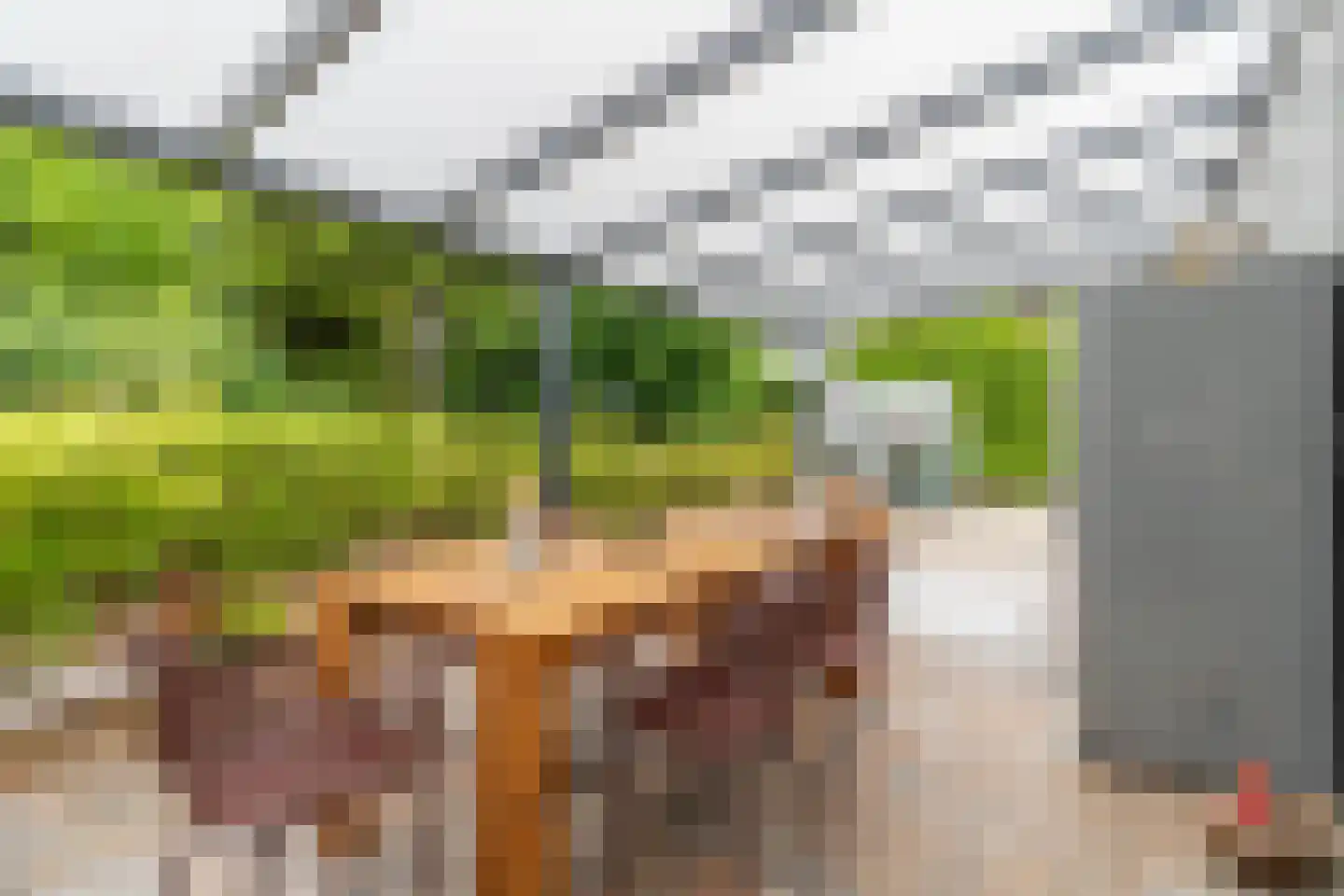 Cerespark 17 Stevensbeek thumbnail 21
