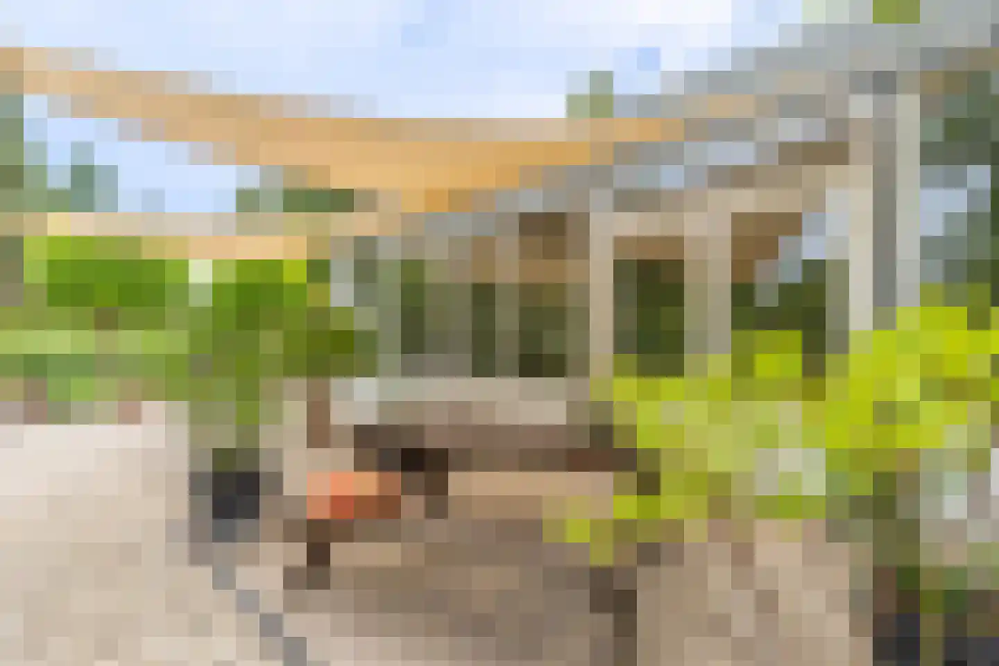 Cerespark 17 Stevensbeek thumbnail 4