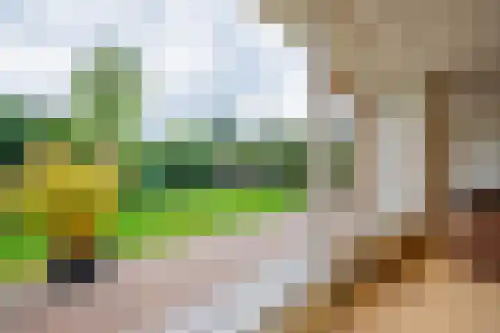 Cerespark 5 Stevensbeek thumbnail 19