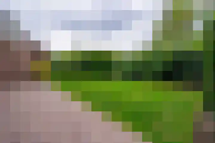 Cerespark 5 Stevensbeek thumbnail 48