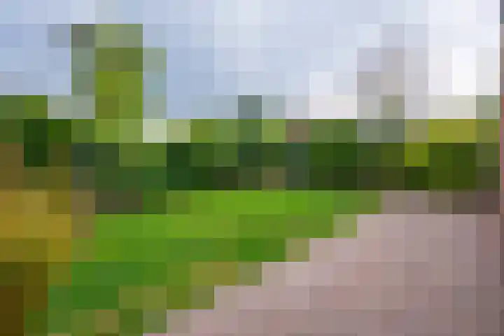 Cerespark 5 Stevensbeek thumbnail 49
