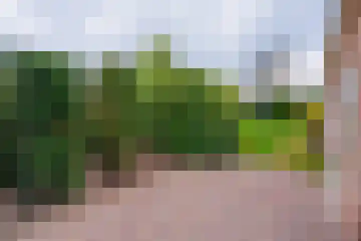 Cerespark 5 Stevensbeek thumbnail 50
