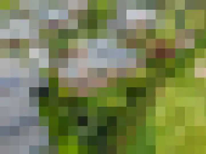 Cerespark 5 Stevensbeek thumbnail 52