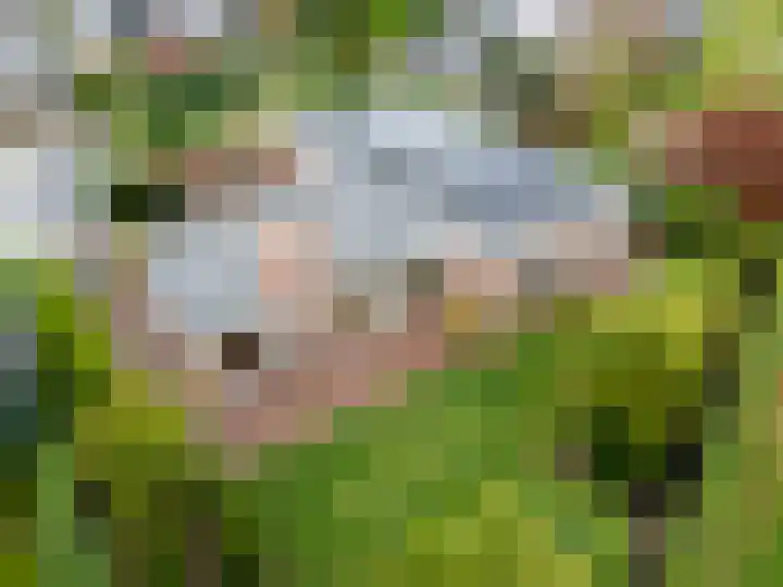 Cerespark 5 Stevensbeek thumbnail 53