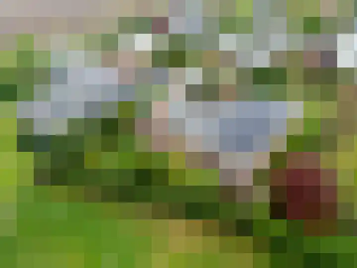 Cerespark 5 Stevensbeek thumbnail 55