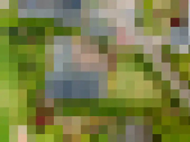 Cerespark 5 Stevensbeek thumbnail 56