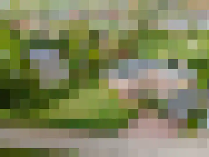 Cerespark 5 Stevensbeek thumbnail 6
