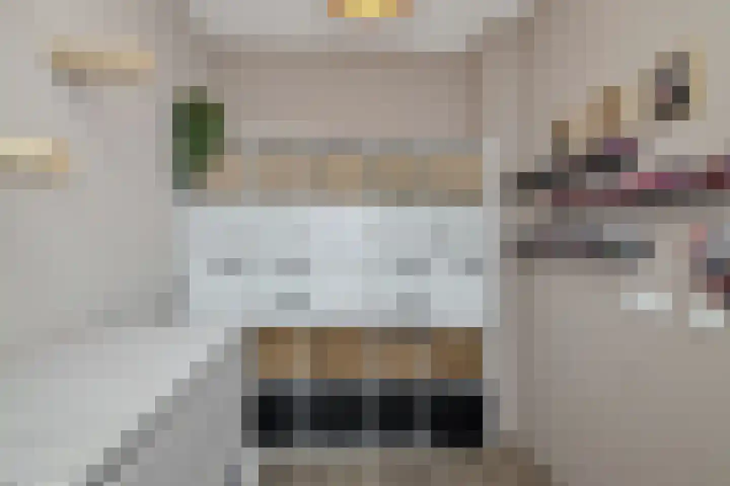 Ceresplein 41 Breezand thumbnail 23