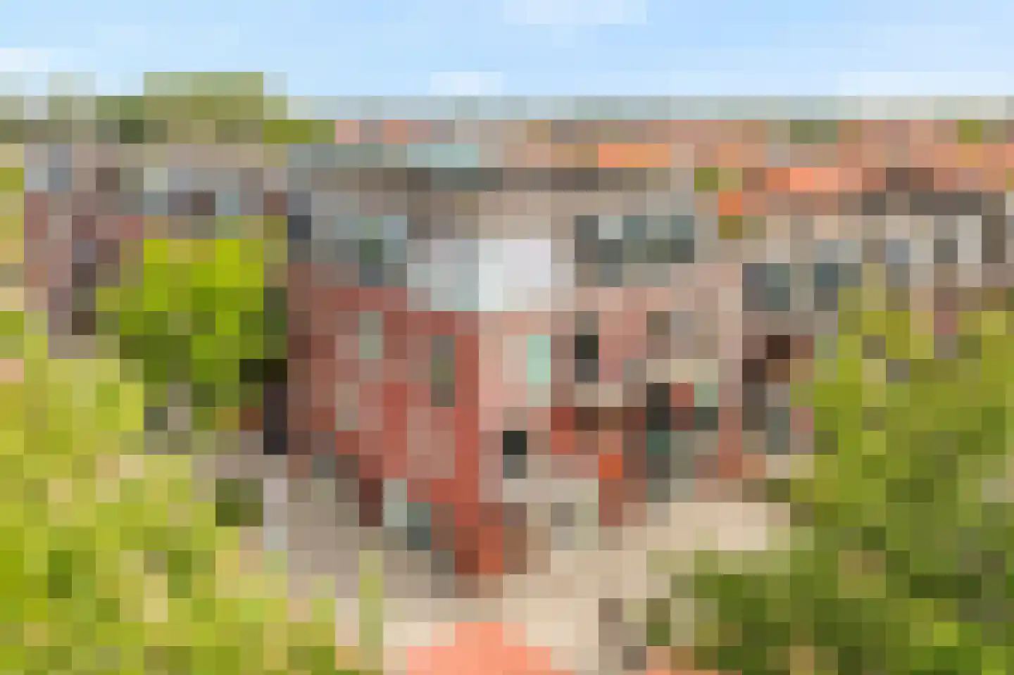 Ceresplein 43 Breezand thumbnail 5