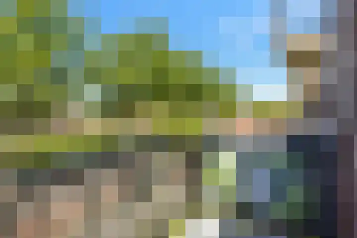 Ceresplein 48 Breezand thumbnail 20
