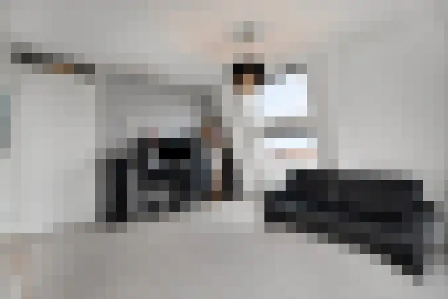 Ceresplein 66 Breezand thumbnail 15
