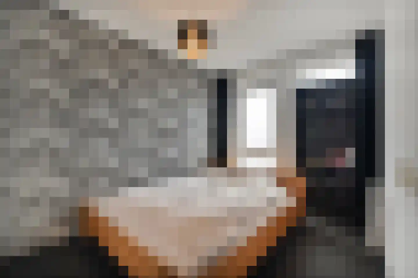 Ceresplein 66 Breezand thumbnail 17