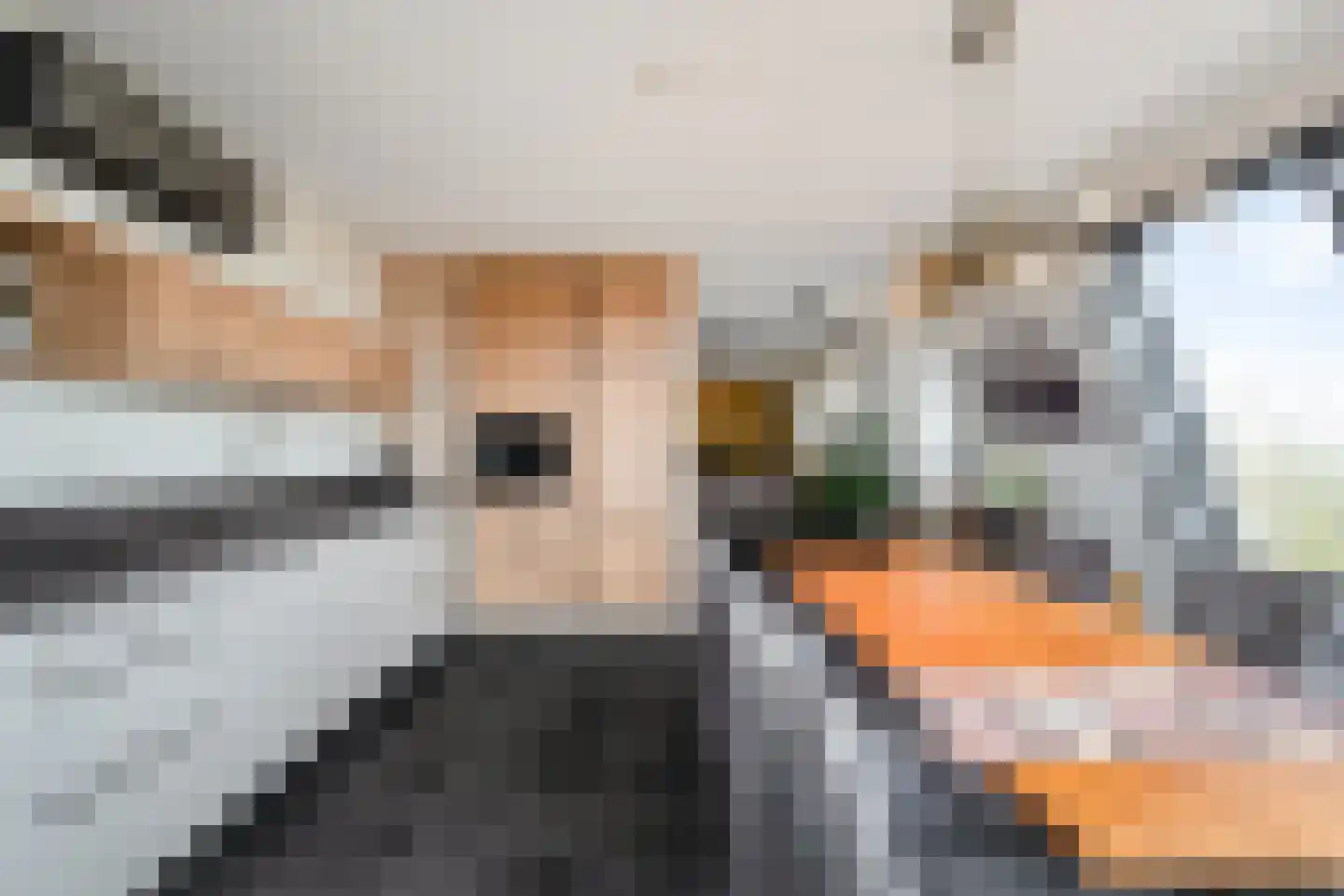 Ceresplein 70 Breezand thumbnail 20