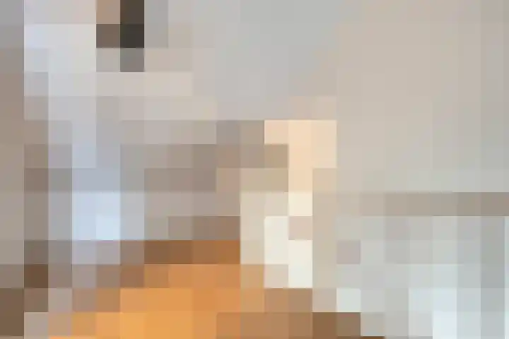 Ceresstraat 1 Naaldwijk thumbnail 17