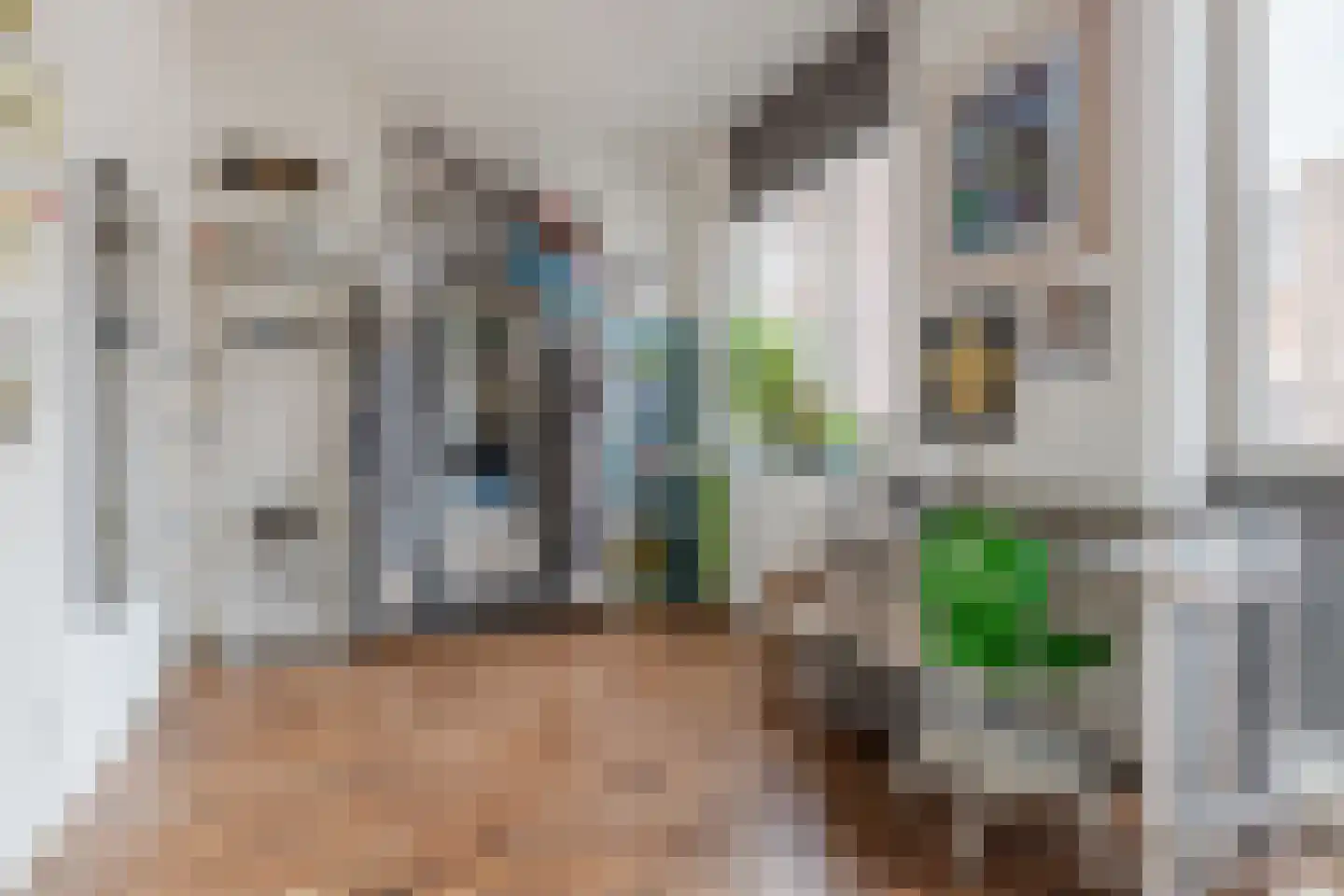 Ceresstraat 10 Breda thumbnail 31