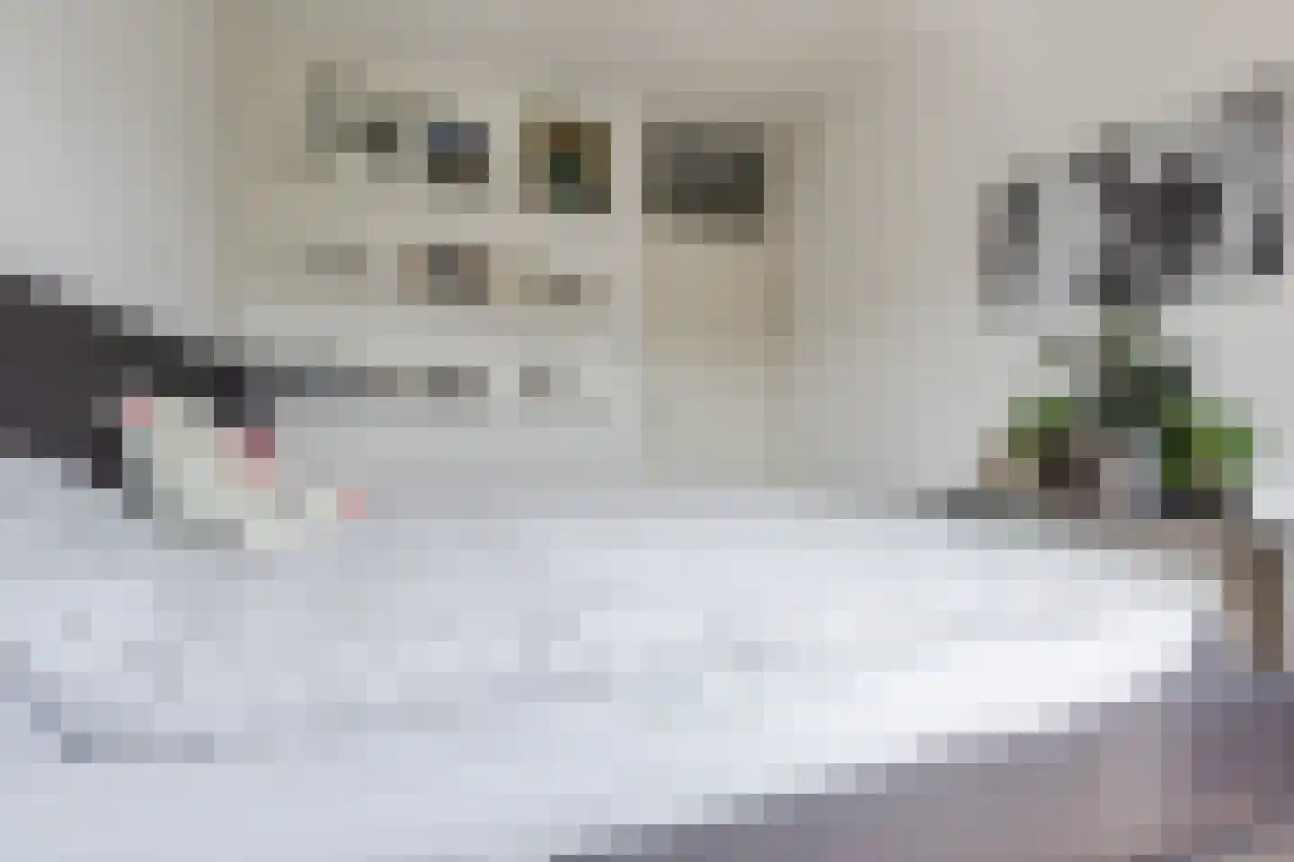Ceresstraat 10 Breda thumbnail 38