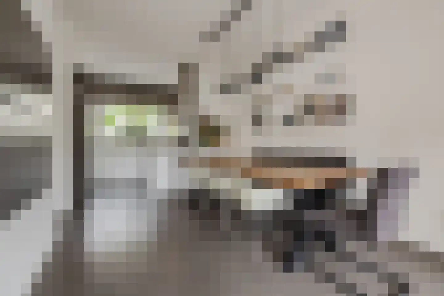 Ceresstraat 10 Breda thumbnail 8