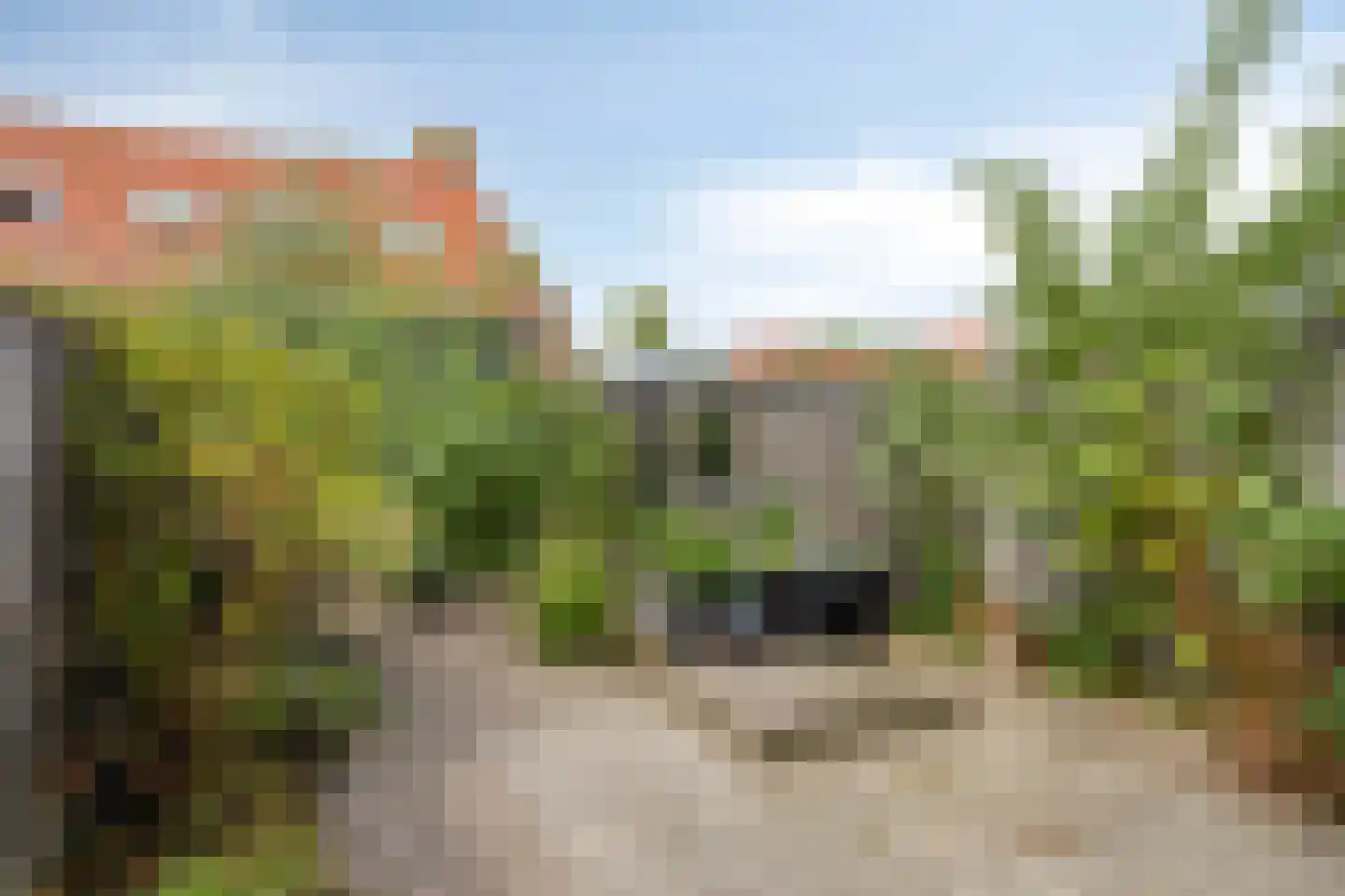 Ceresstraat 12 Kapelle thumbnail 11