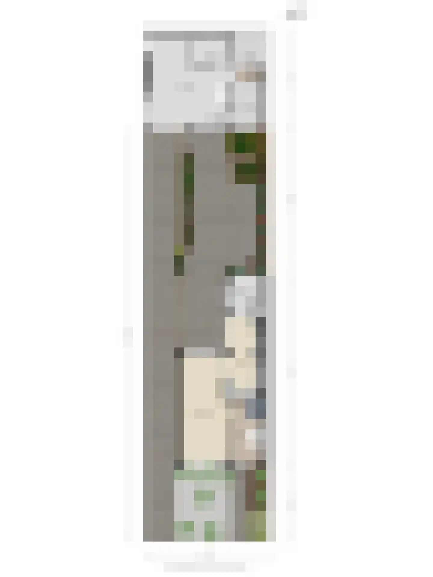 Ceresstraat 12 Kapelle thumbnail 43