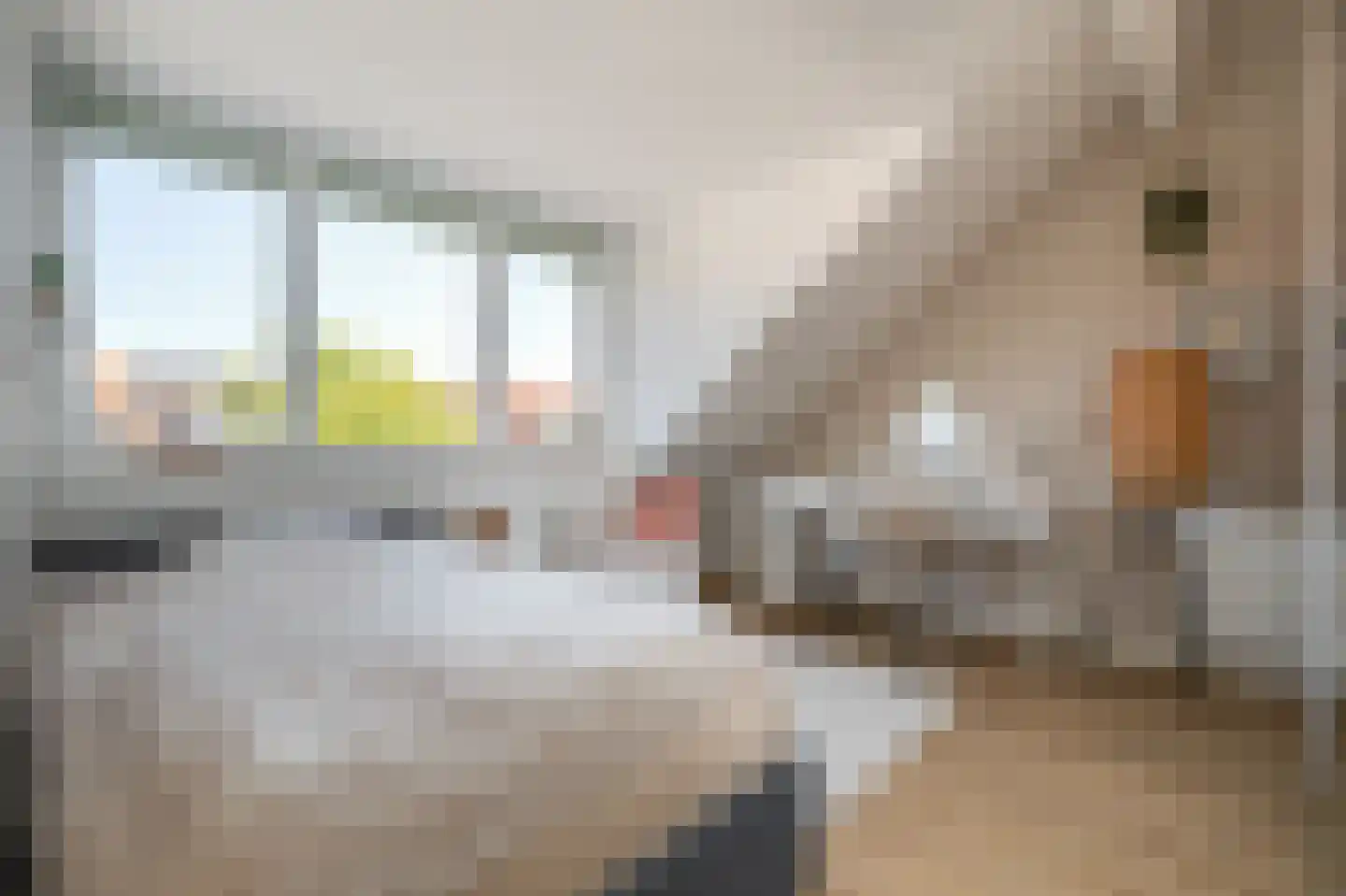 Ceresstraat 16 Berkel en Rodenrijs thumbnail 14