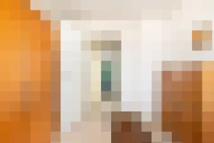 Ceresstraat 21 Oudorp thumbnail 21