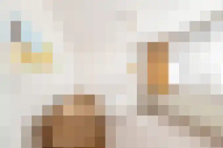 Ceresstraat 21 Oudorp thumbnail 22