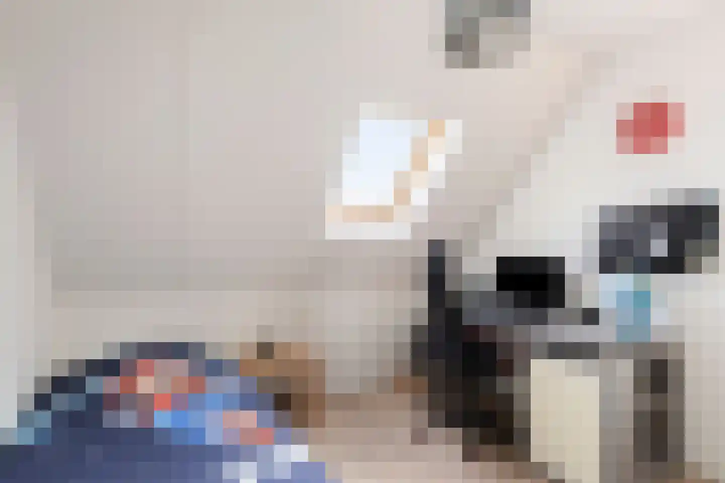Ceresstraat 22 Makkinga thumbnail 25