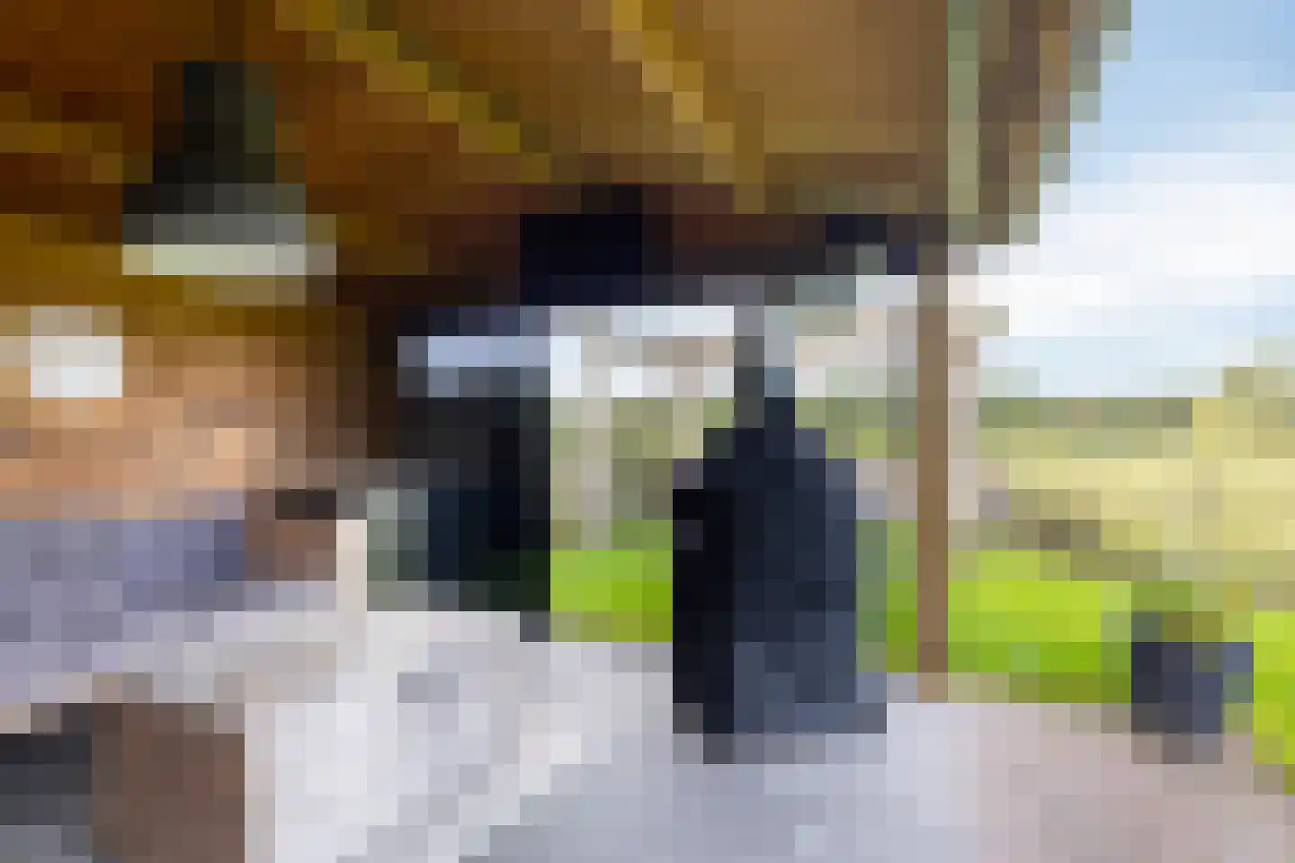 Ceresstraat 22 Makkinga thumbnail 33
