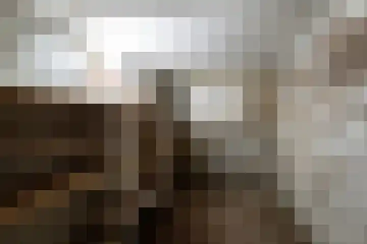 Ceresstraat 23 Breda thumbnail 34