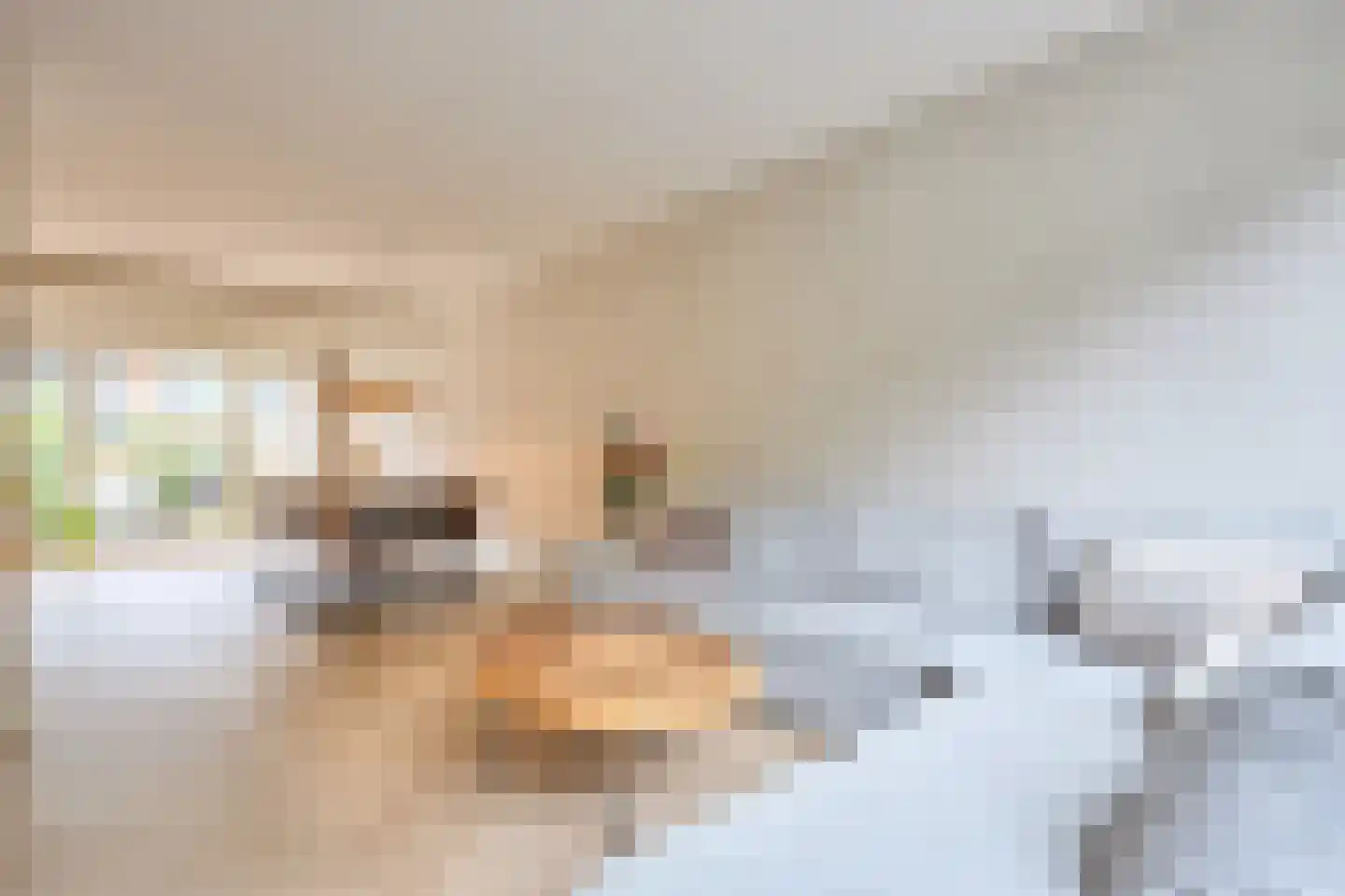 Ceresstraat 24 Oudorp thumbnail 10