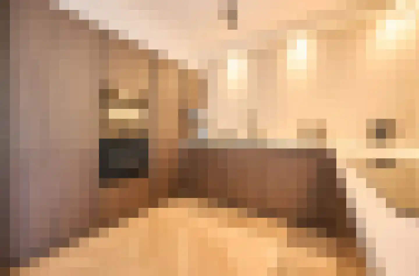 Ceresstraat 24 Oudorp thumbnail 18